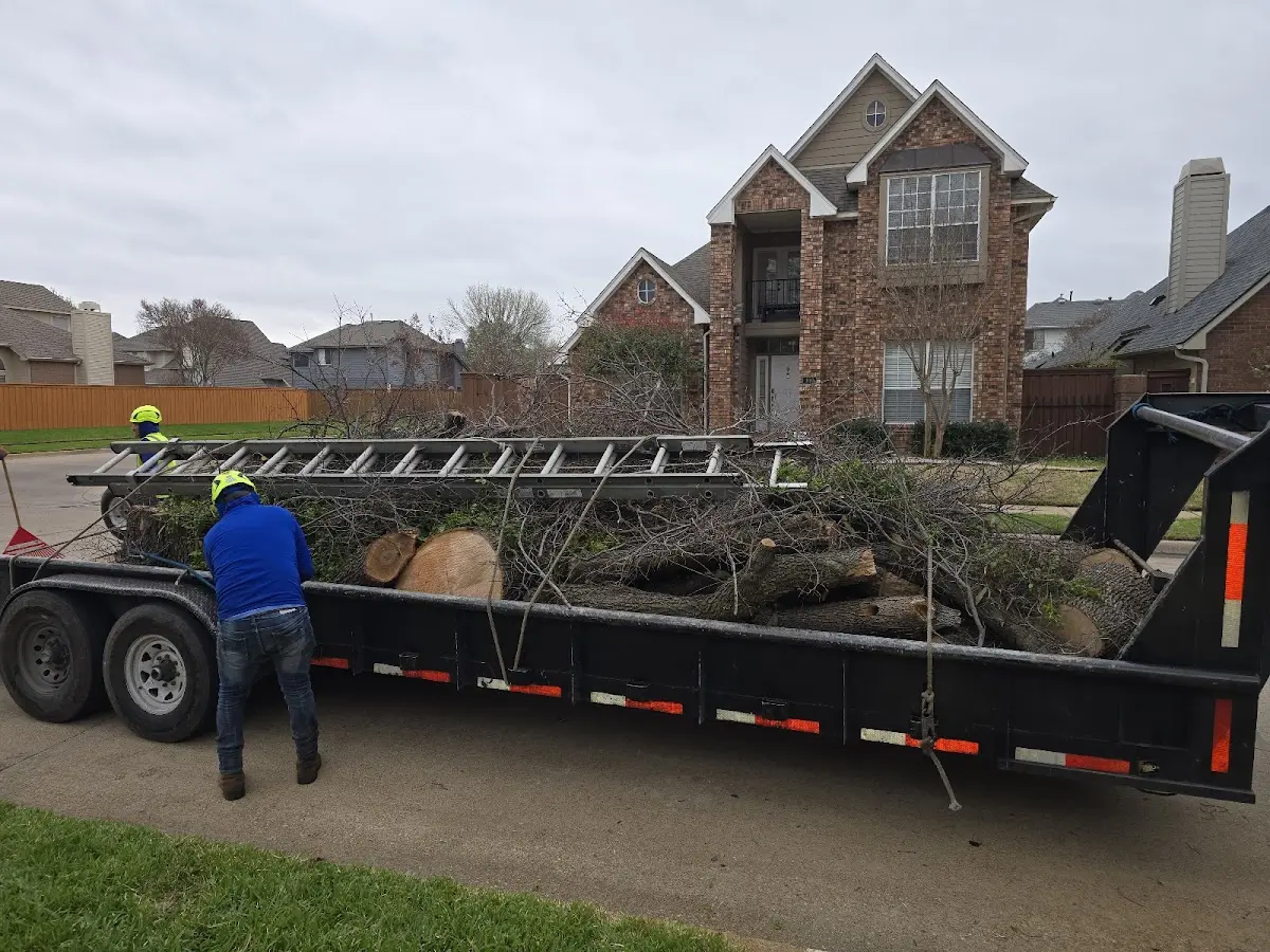 Expert Tree Fertilization with proper safety equipment in La Vista
